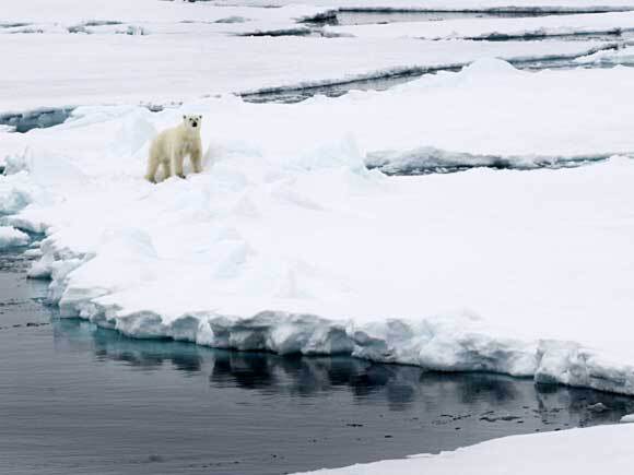 De nordiske tronarvingene dro på polartokt med isbryteren Oden - for å lære og for å skape oppmerksomhet omkring klimaspørsmålet. Foto: Veronica Melå, Det kongelige hoff.